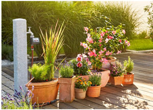 Clever watering apps