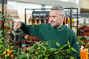 dobbies team member managerial role