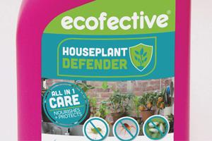 Eco-conscious and vegan gardeners re-enforce grow-your-own trend