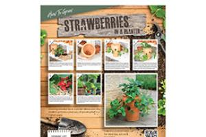 Woodlodge helps retailers to inspire a new generation of gardeners with ‘virtual sales assistants’