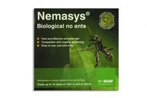 Nemasys Biological ant deterrent