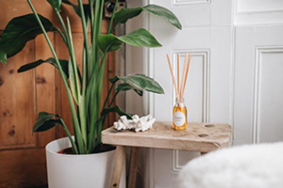 Hobo Candels - home fragrance and wellness good